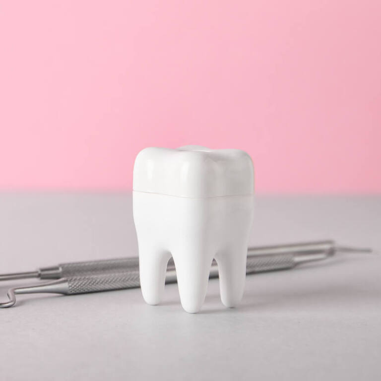 予防・メインテナンス